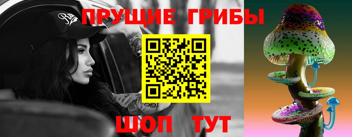Галлюциногенные грибы Psilocybine cubensis Качканар